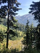 Maple Heather Trail, WA
